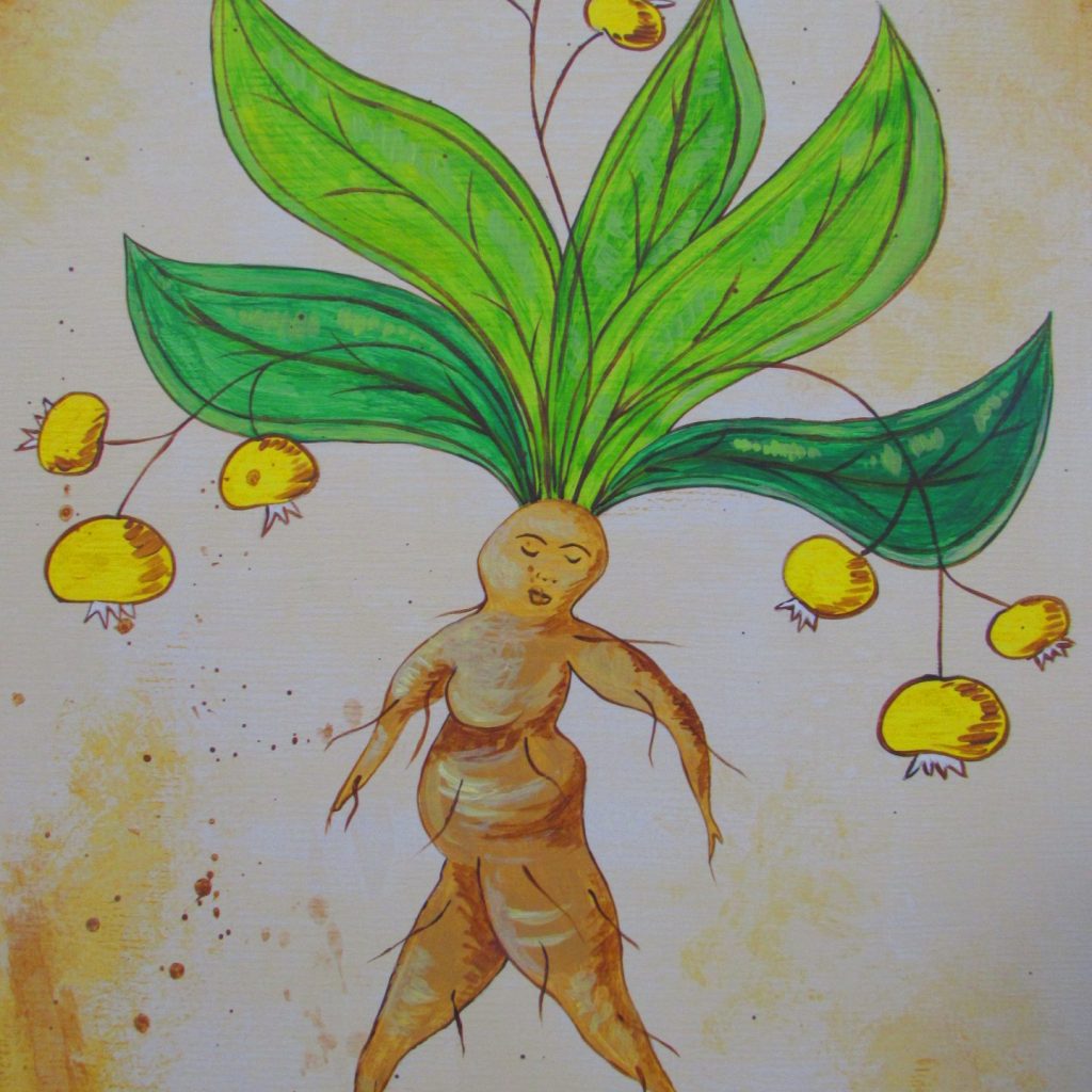 What Plants Teach Us About&nbsp;Belonging